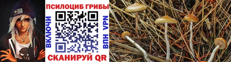 Галлюциногенные грибы мухоморы  где найти   Кремёнки 